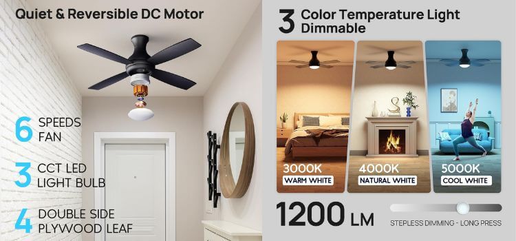 best ceiling fan with light and remote